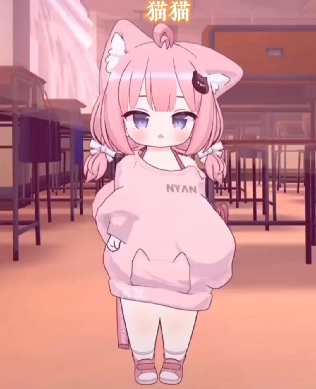 貓妹妹最新動態(tài)，萌態(tài)盡顯，溫暖你的心??