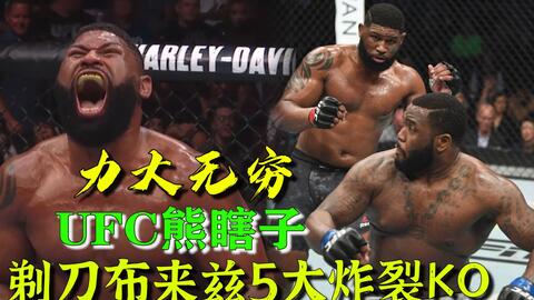 小菊最新比賽，友誼與夢(mèng)想的絢爛綻放