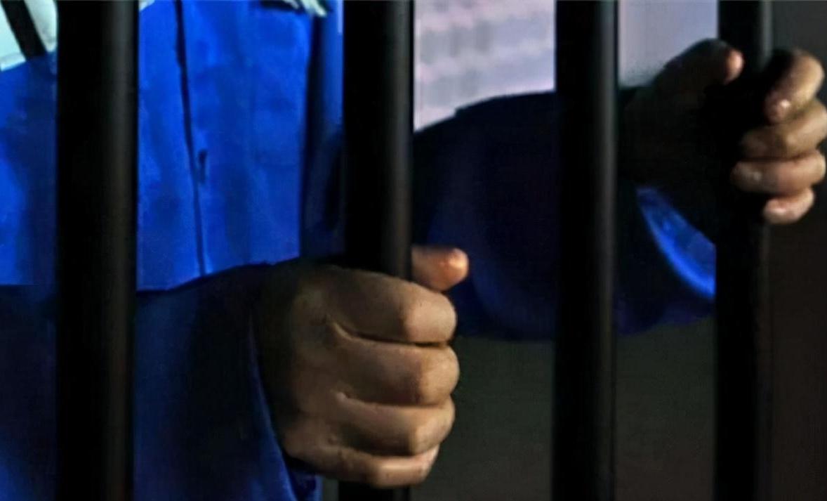 我國電力最新論述與進展概覽