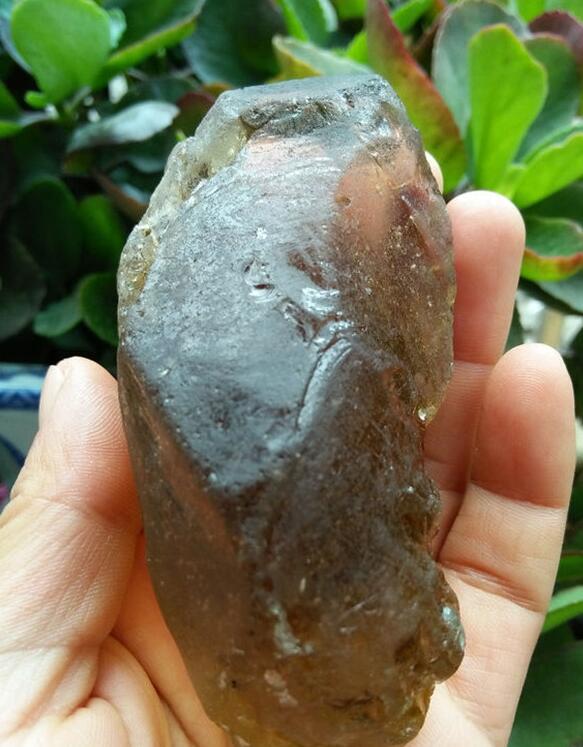 最新鑒定法，揭示友情的印記與家的溫馨