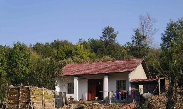 新時代田園生活揭秘，鄉(xiāng)村農(nóng)村的最新風貌與體驗