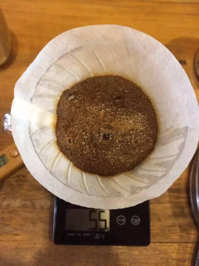 最新萃取法詳解，步驟指南與操作技巧