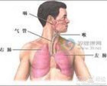 咸豐肺炎最新全面指南與詳解，癥狀、治療、步驟解析