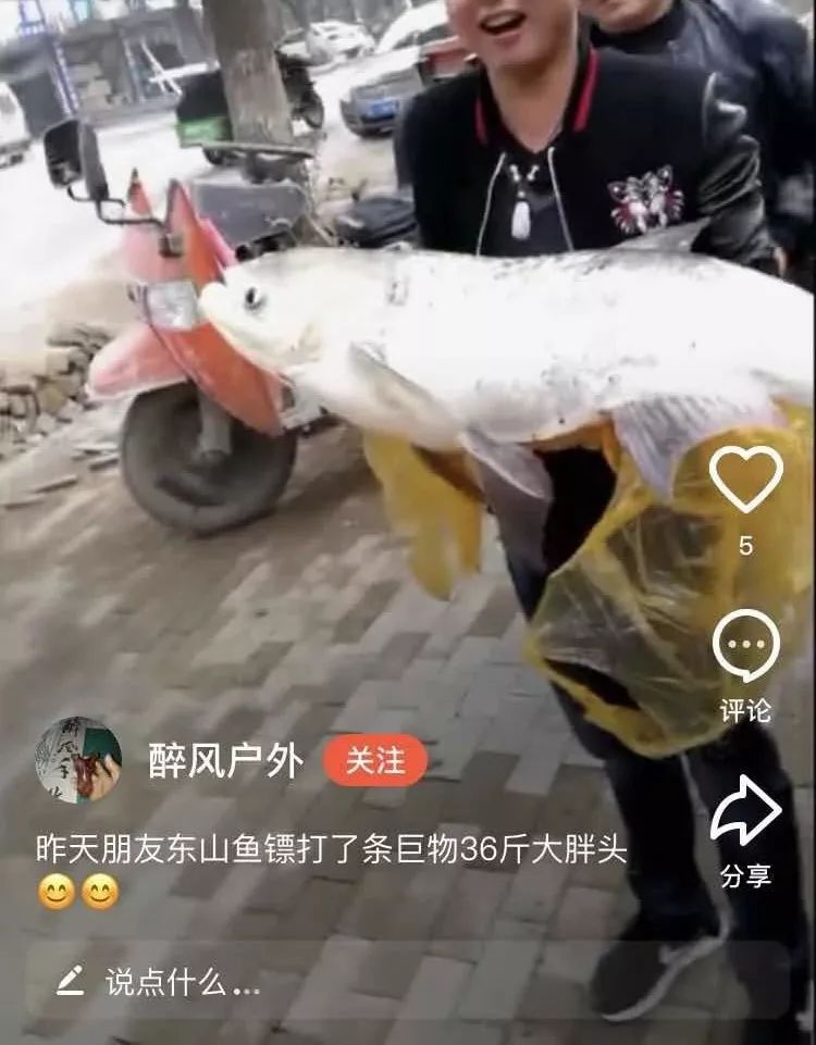 射魚神器進(jìn)化升級，學(xué)習(xí)變革與自信成就之源