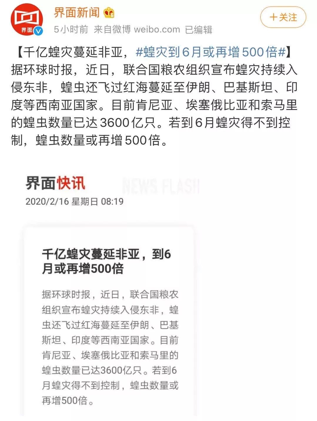 世界蝗災(zāi)最新動(dòng)態(tài)，探索自然美景的輕松之旅