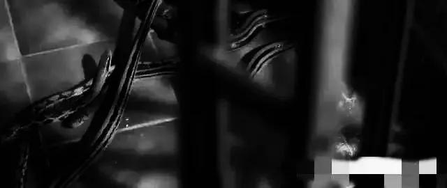 香港最新房價趨勢展望，2025年分析與展望