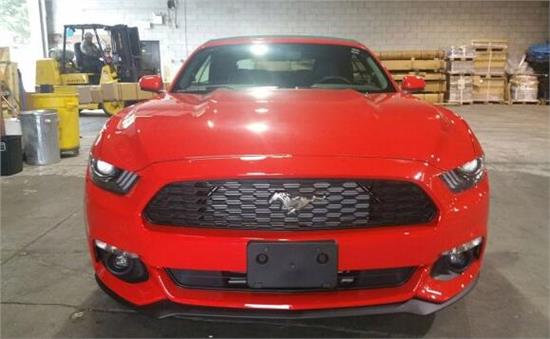 威路德最新款，小巷中的驚喜發(fā)現(xiàn)