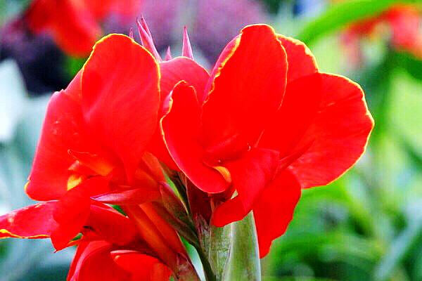 詠美最新作品——開(kāi)啟智能生活科技之門的新紀(jì)元