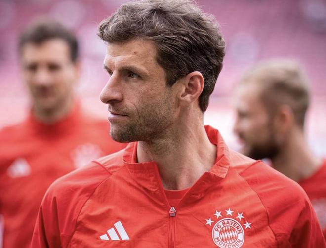 慕尼黑最新動態(tài)，城市生活的溫馨日常