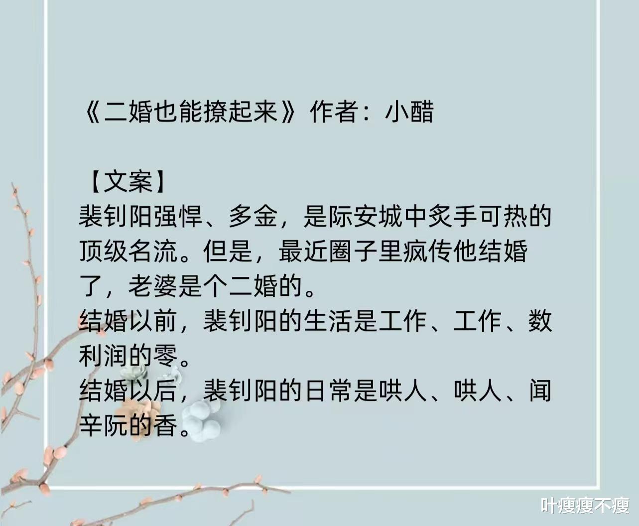 最新二婚小說，小巷深處的浪漫故事
