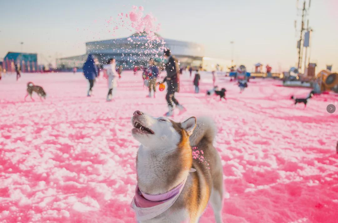 小信的世界最新科技前沿產品亮相，生活變革從此刻啟程