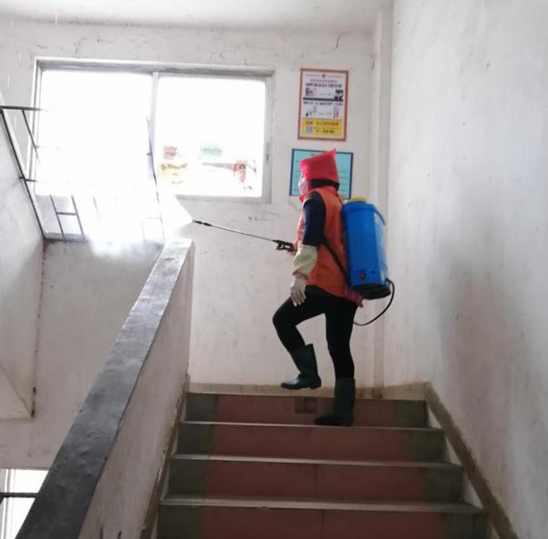 蓬江區(qū)最新高科技住宅，重塑未來生活體驗(yàn)的首選之地