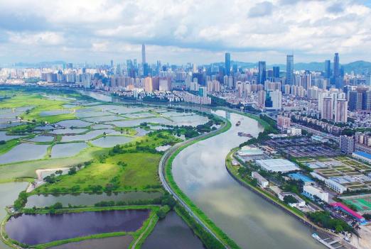 當下流行語探尋之旅，與大自然共舞，尋找內心平靜之旅